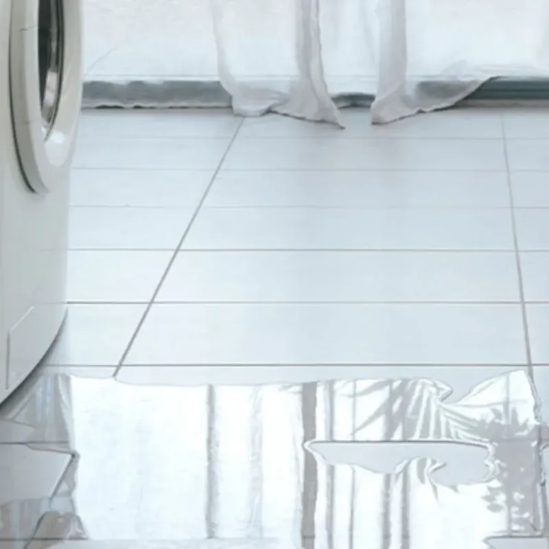Appliance Leak Cleanup in Aubrey, TX