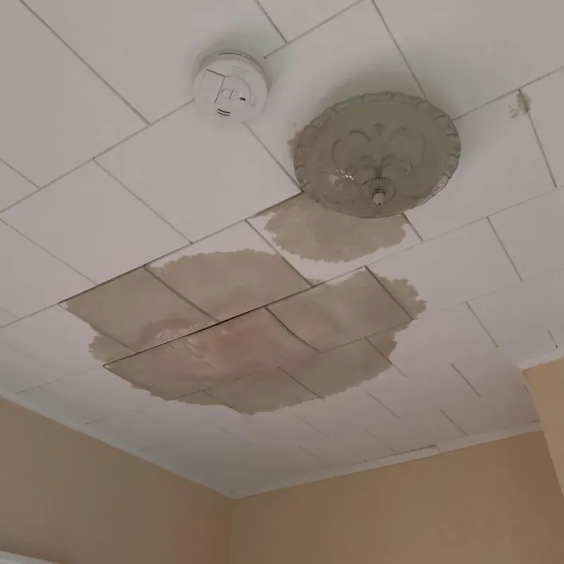 Ceiling Water Damage Repair in Aubrey, TX