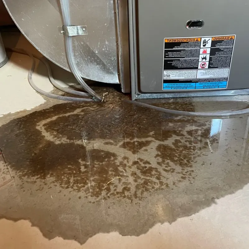 Pipe Burst and Leak Restoration in Aubrey, TX