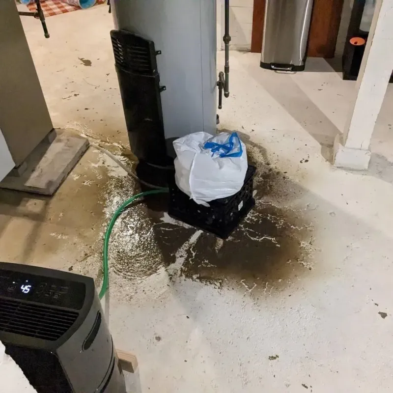 Sewage Backup Cleanup Service in Aubrey, TX